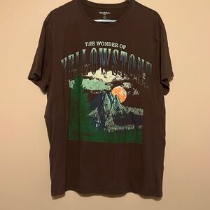 Men’s Vintage Goodfellow & Co T-Shirt The Wonder of Yellowstone Brown XL